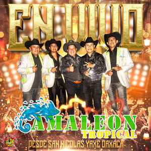 La Yaquesita / Suavecito / El Tao Tao (En Vivo)