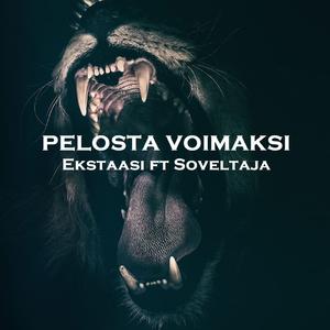 Pelosta Voimaksi (feat. Soveltaja)