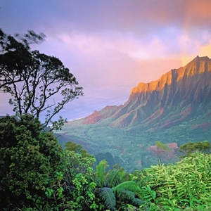 与扫地机器人谈判