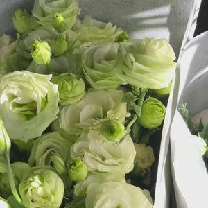 未闻花名（钢琴）