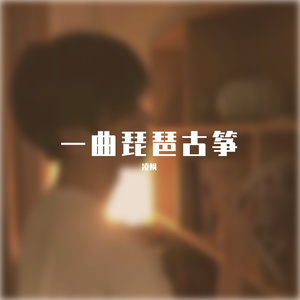 一曲琵琶古筝