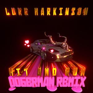 Hit and Run (Doberman Remix)