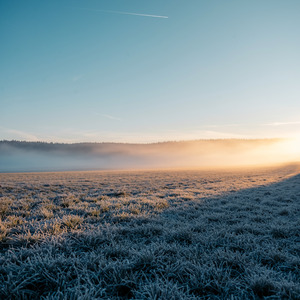 春を待つ音だけが残っている