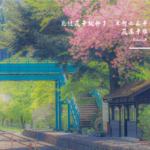 见过花开就好了，又何必在乎花属于谁。