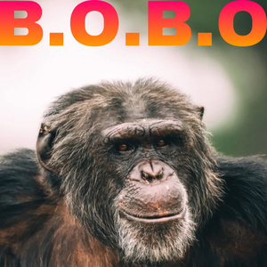 B.O.B.O