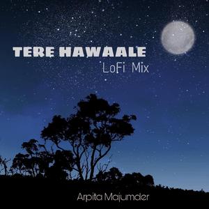 Tere Hawaale (Avishek Majumder LoFi Remix)