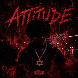 Attitude