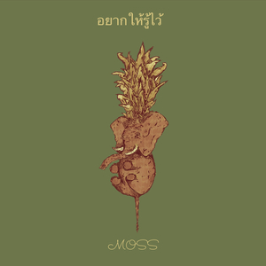 อยากให้รู้ไว้