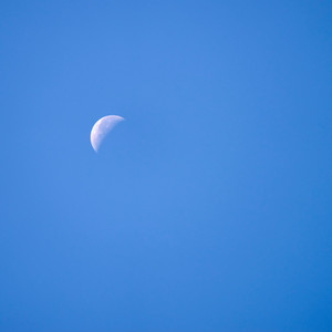 不確かな日々、確かな月明かり