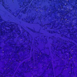 关于郑州的记忆（翻自 李志）