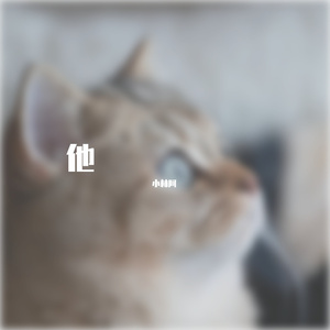 他（Cover舟奕博）