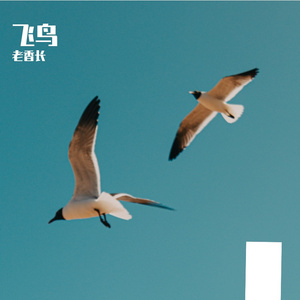 飞鸟(PROD BY Rising Beat)