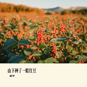 山下种了一畦红豆