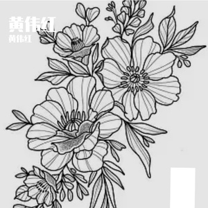 追光者