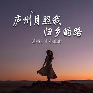 庐州月照我归乡的路