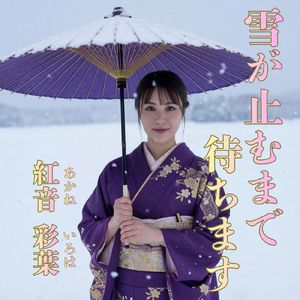 雪が止むまで待ちます