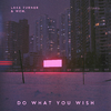 Lake Turner - Do What You Wish