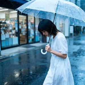 雨过后的风景 (Cover vine)