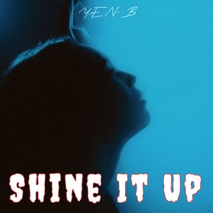 Shine It Up