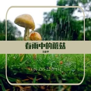 春雨中的蘑菇