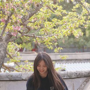 经纬情书—致陈婷
