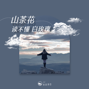 山茶花读不懂白玫瑰(0.8x降速版)