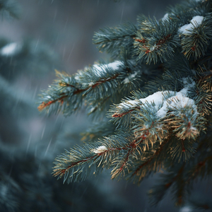 Уходит в вечность старый год