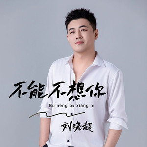 不能不想你 (阿卓律动版)