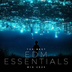 Far Away (feat. Hikaru Station) [Misael Gauna Remix]