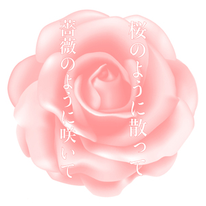 蔷薇开 樱花落（翻自 Seiko Matsuda）