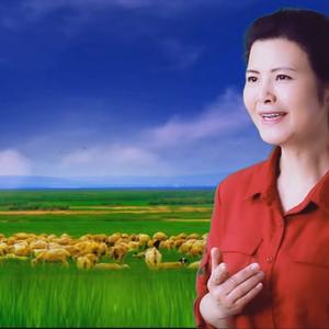 陪你一起看草原