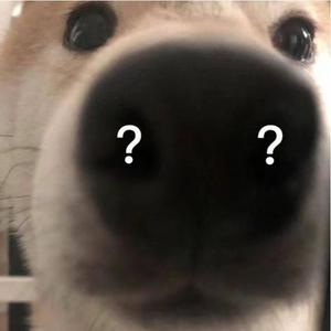 执迷不悟（工具人小马 remix）