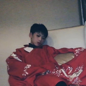 妙笔浮生【翻自银临】