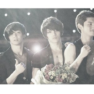 낙엽(FALLEN LEAVES)