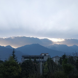 肆意的生活