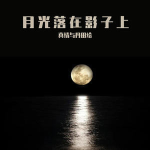 月光落在影子上