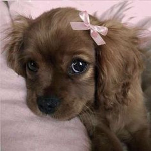 Lazy Poker Blues (slowed)