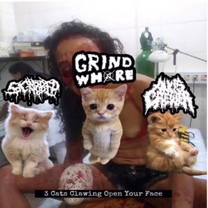 Necrotising Bowels And Deteriorating Muscules