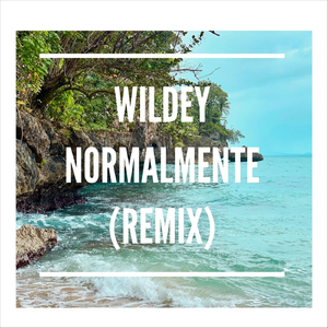 Normalmente (Remix)