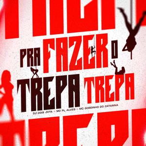 Pra Fazer O Trepa Trepa (feat. Mc Pl alves & Mc Gordinho do catarina)