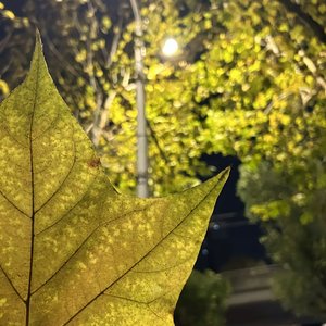 一页（我用了三年）&如果呢