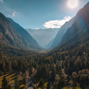 Serenade Twilight Wild Hush