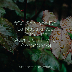 Himno Ascenso Etéreo