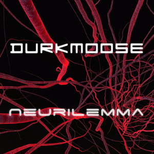 Neurilemma