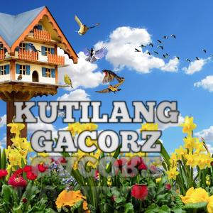 Kutilang Gacorz