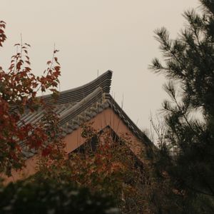 驻马店西(翻唱)