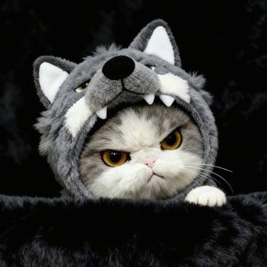 我偏要在这个快餐时代用真心砸出真心