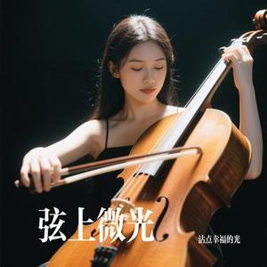 弦上微光