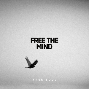 Free Soul