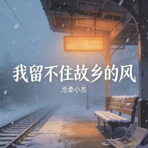 我留不住故乡的风(卡车司机DJ版)